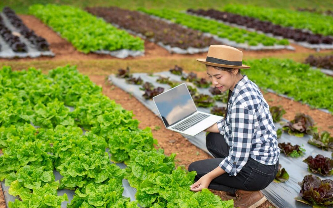 Food Marketing: cosa deve avere un sito web per la ristorazione
