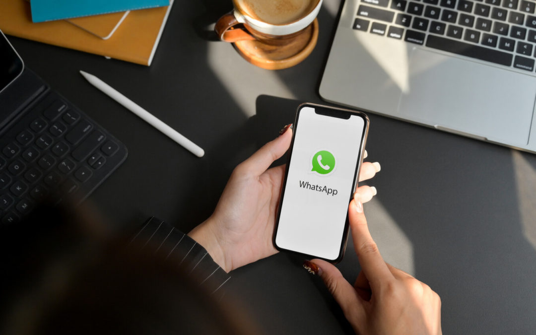 Cos’è l’API di WhatsApp Business