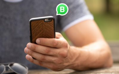 Il Catalogo Whatsapp Business in pillole
