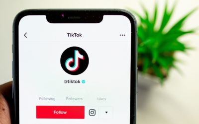 TikTok per aziende negozi e piccole attività